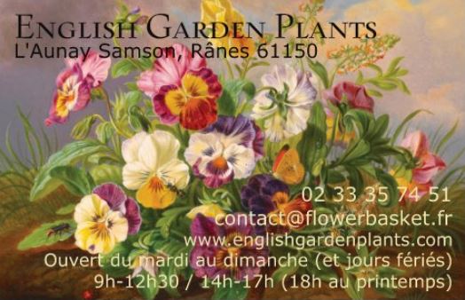 English garden plants à Rânes